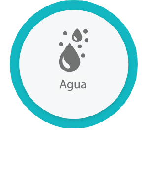 Formulação água